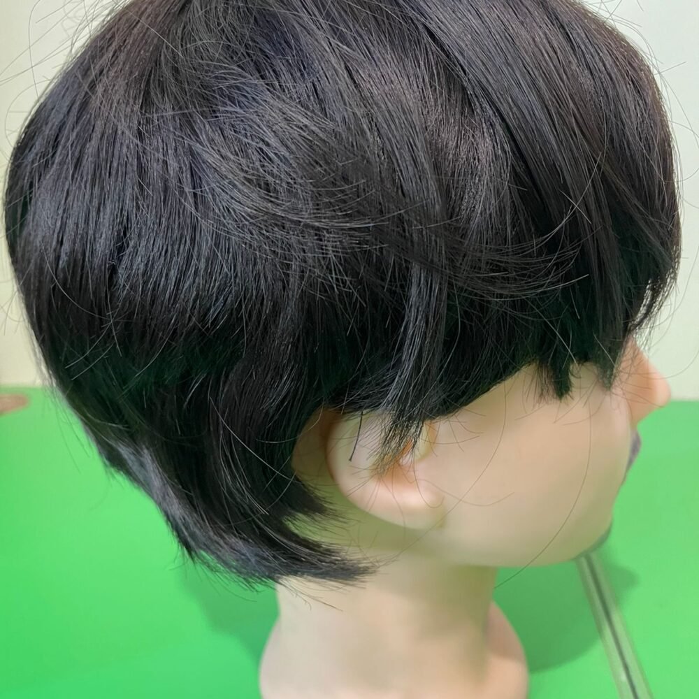 Men Dark Brown Medium Hair Wig